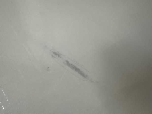 IMG_7123.jpeg