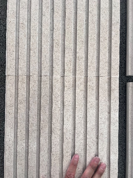 IMG_8561.jpeg