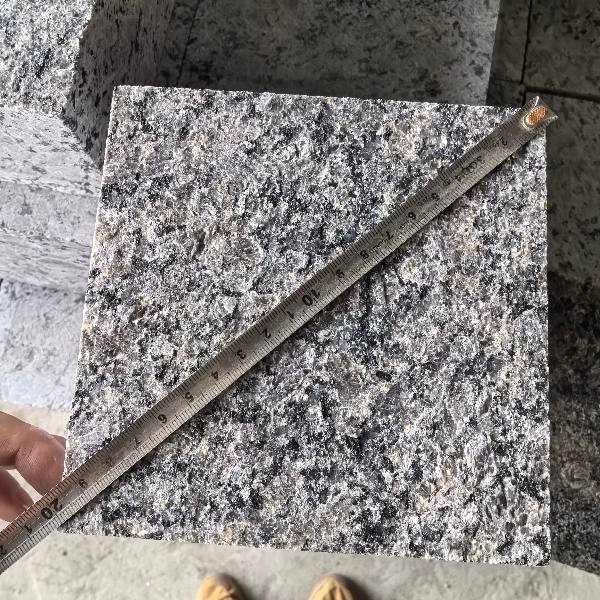 IMG_20260824_090936.jpg