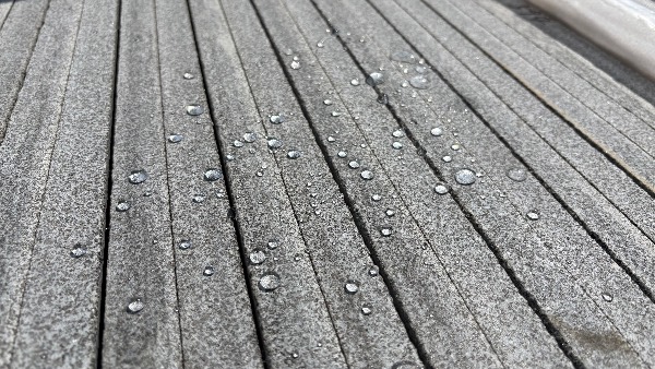 IMG_0400.jpeg