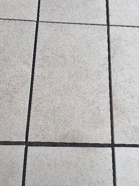 IMG_7831.jpeg